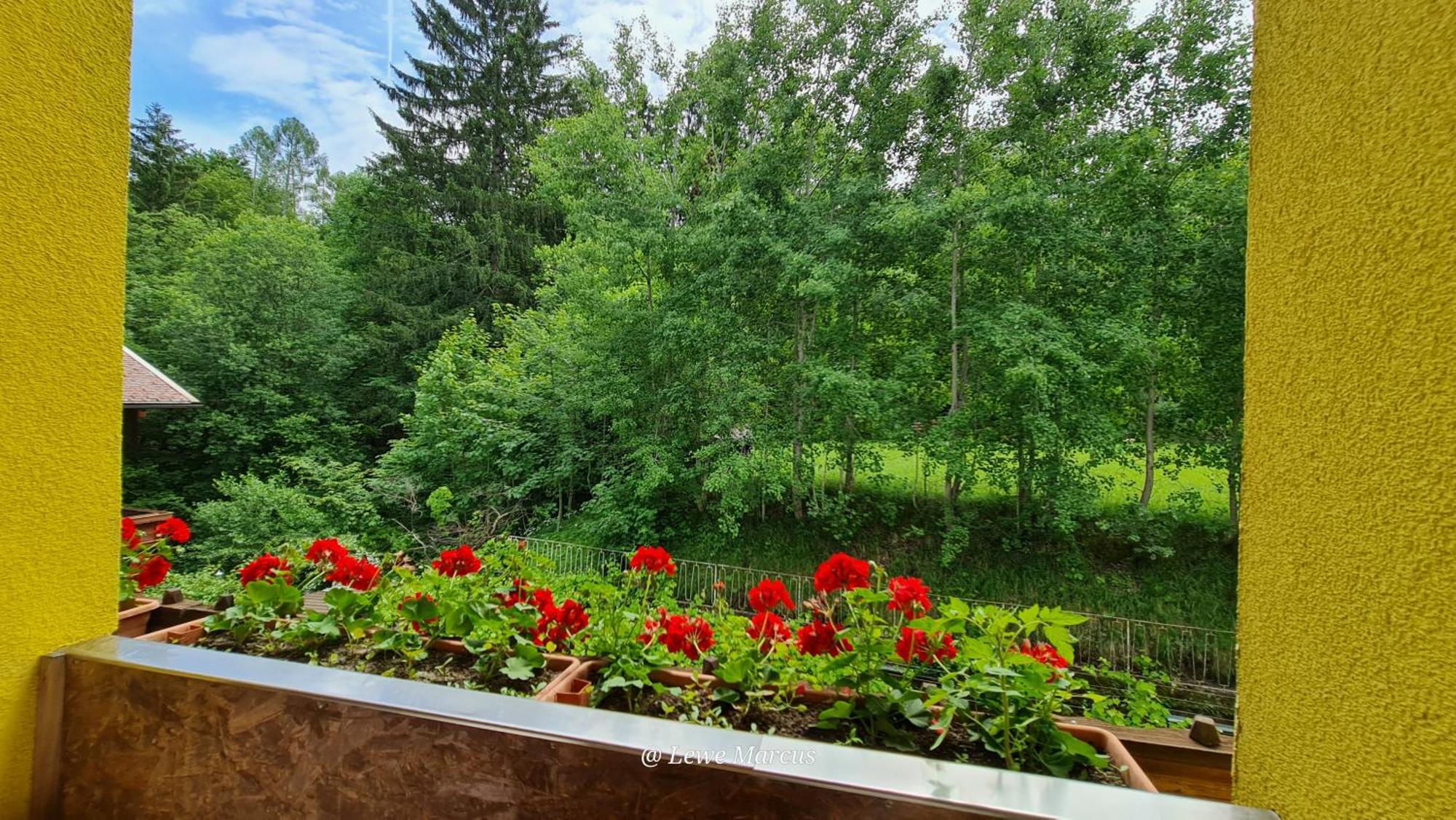 Appart-Pension Seehang Velden am Wörthersee Dış mekan fotoğraf